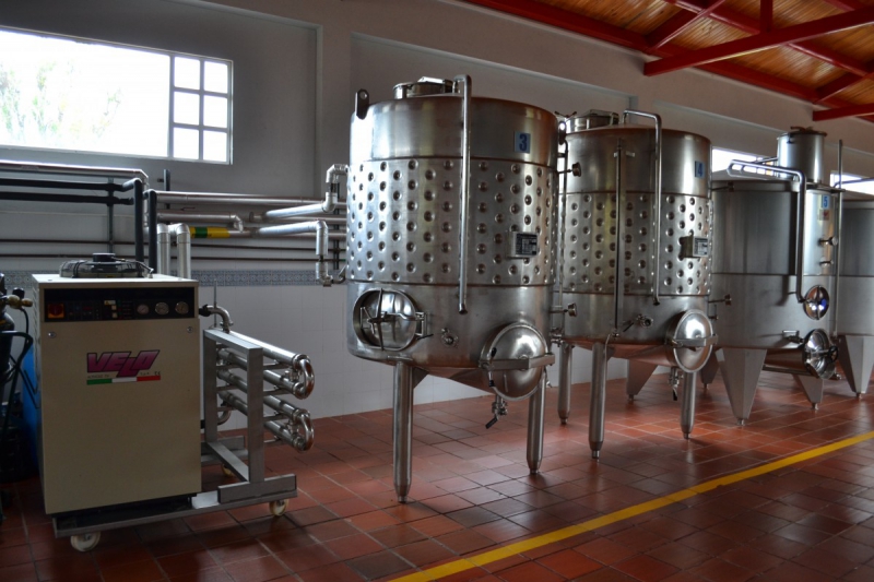 cave-BRAS-min_wine_production_cantine_winery_drink_alcohol_vine_beverage-902036